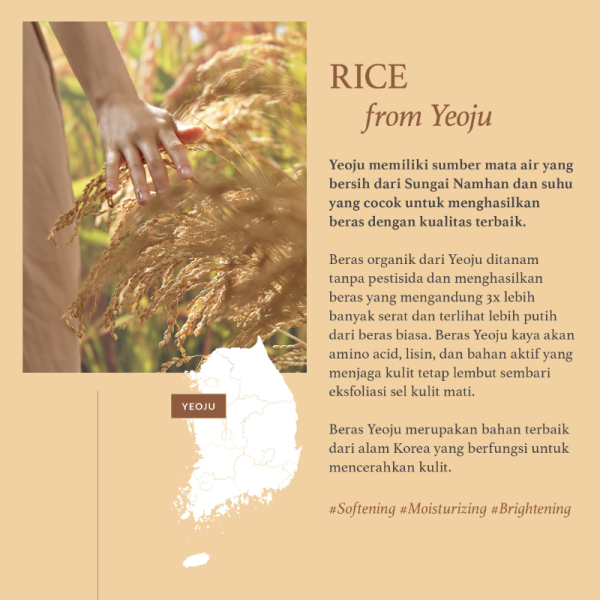 I'm From Rice Toner 30ml - Gambar 3